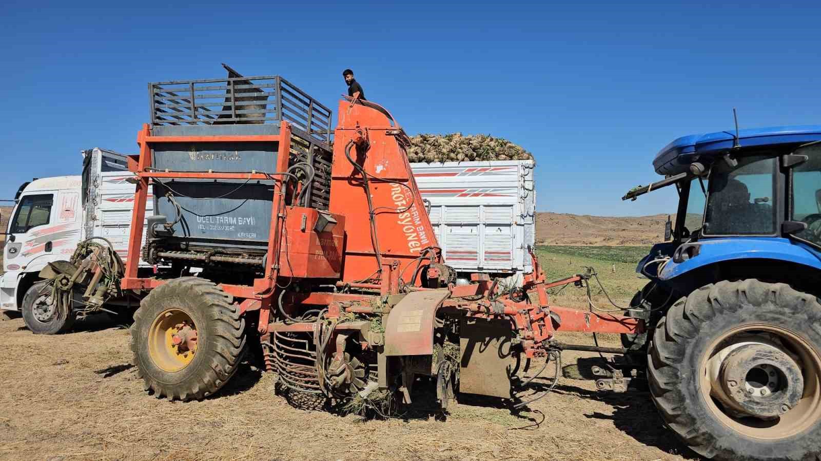 Tarımın kalbi Adilcevaz&rsquo;da pancar s&ouml;k&uuml;m&uuml;ne başlandı
