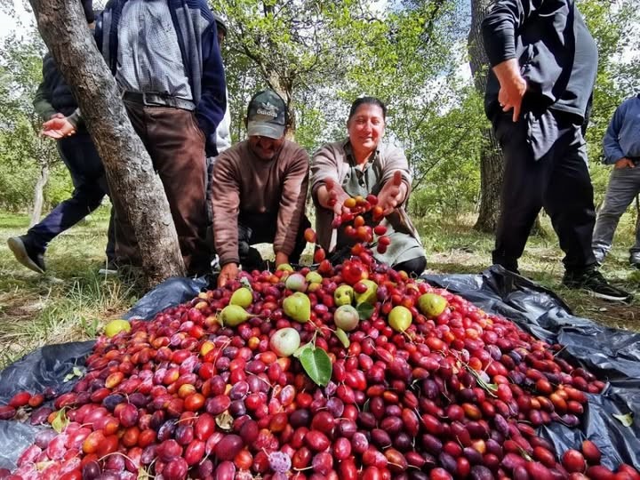 3.Çıldır Cancur Festivali Yapıldı