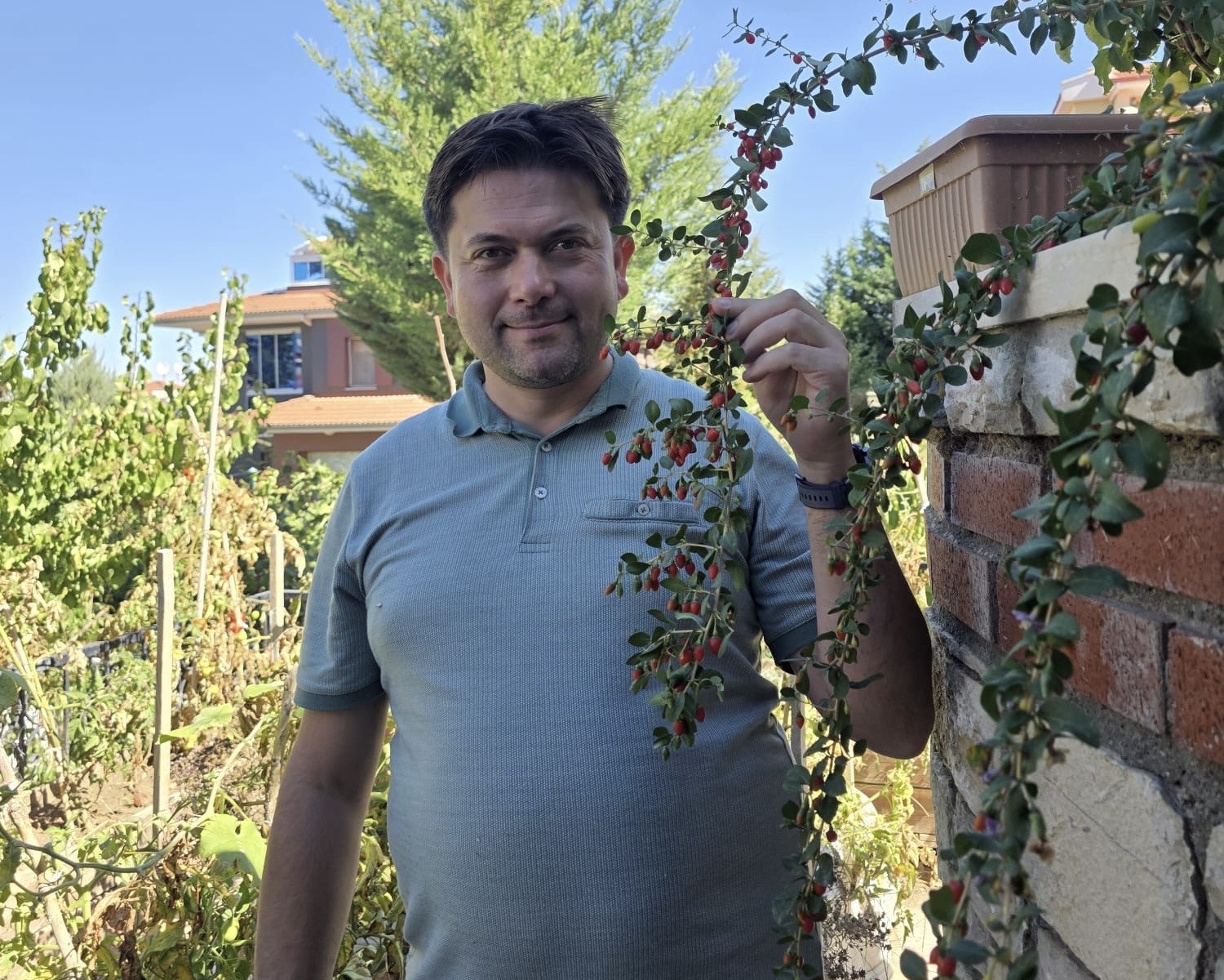 Van’da görevli doktor tropik meyve yetiştirdi