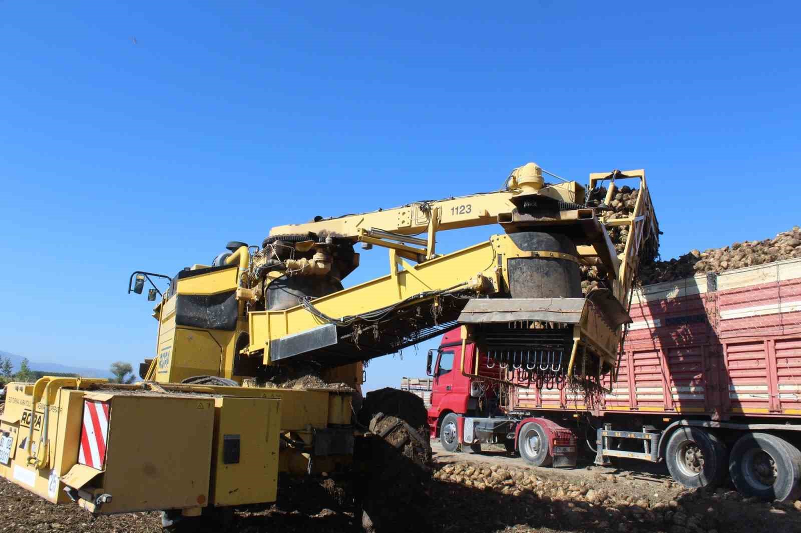 Pazar bölgesinde 450 bin tonluk pancar hasadı hedefleniyor