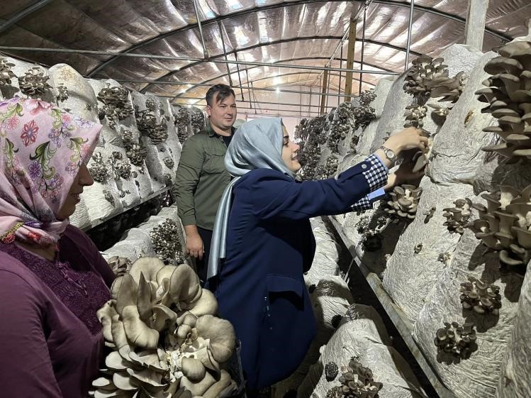 Kaymakam Kılıç: "Yerel üretimi her zaman destekliyoruz"