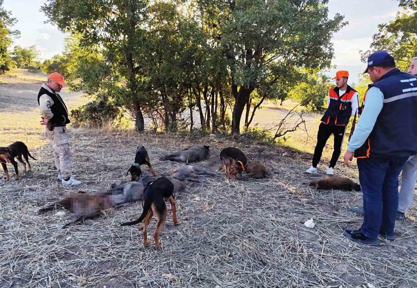Hisarcıklı avcılar 6 saatte 7 yaban domuzu vurdu