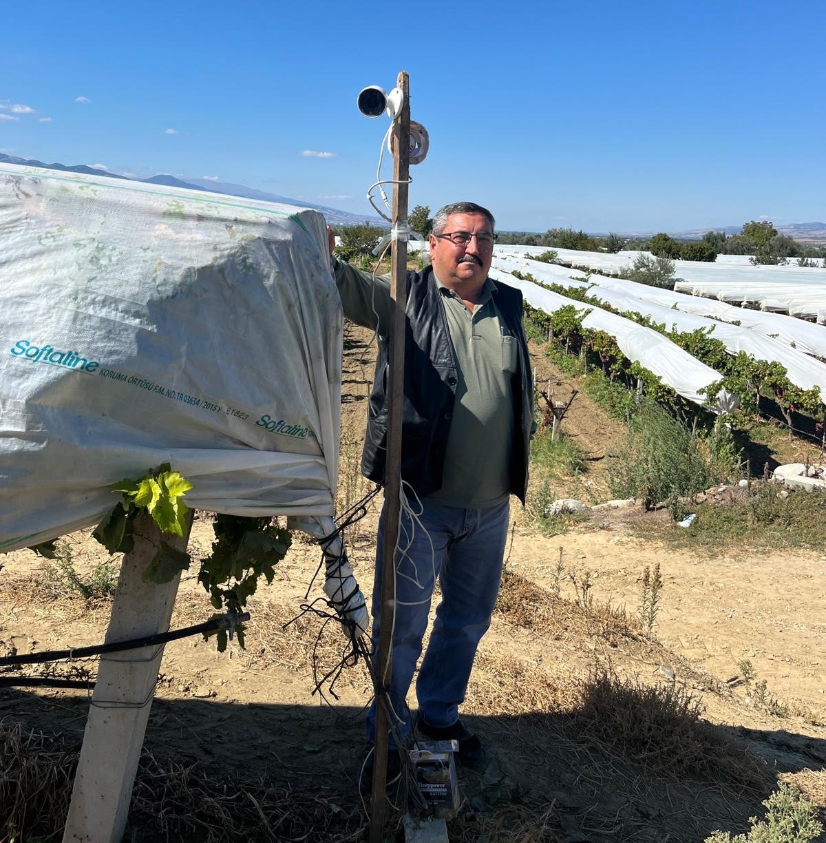 Üzüm bağını hırsızlara karşı kamera ile koruyor