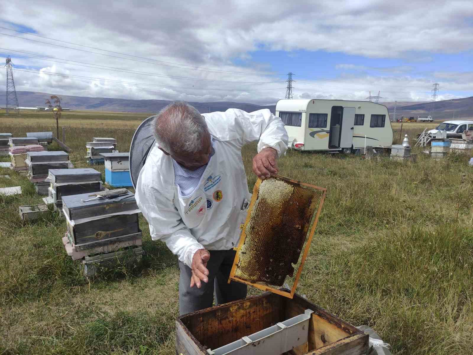 Arıcılar Birliği Başkanı Evliyaoğlu: "Arıcılıkta sonbahar bakımı ve kışlatma çok önemli"
