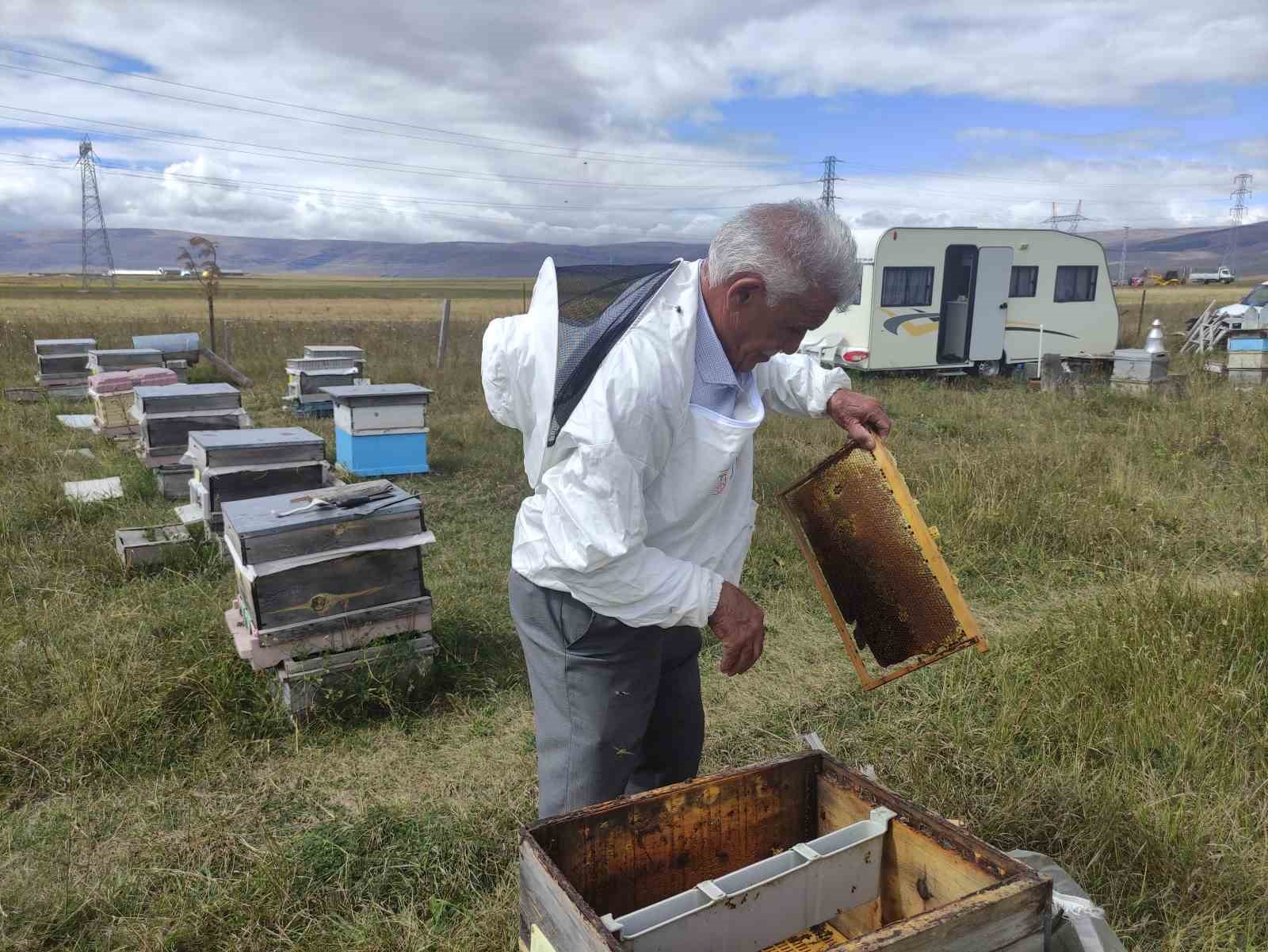 Arıcılar Birliği Başkanı Evliyaoğlu: "Arıcılıkta sonbahar bakımı ve kışlatma çok önemli"