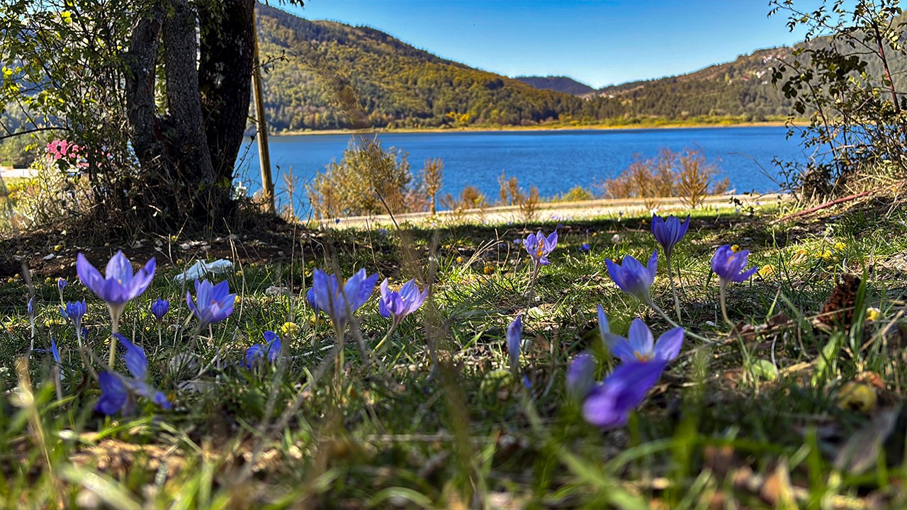 Abant Gölü Milli Parkı’nda renk cümbüşü
