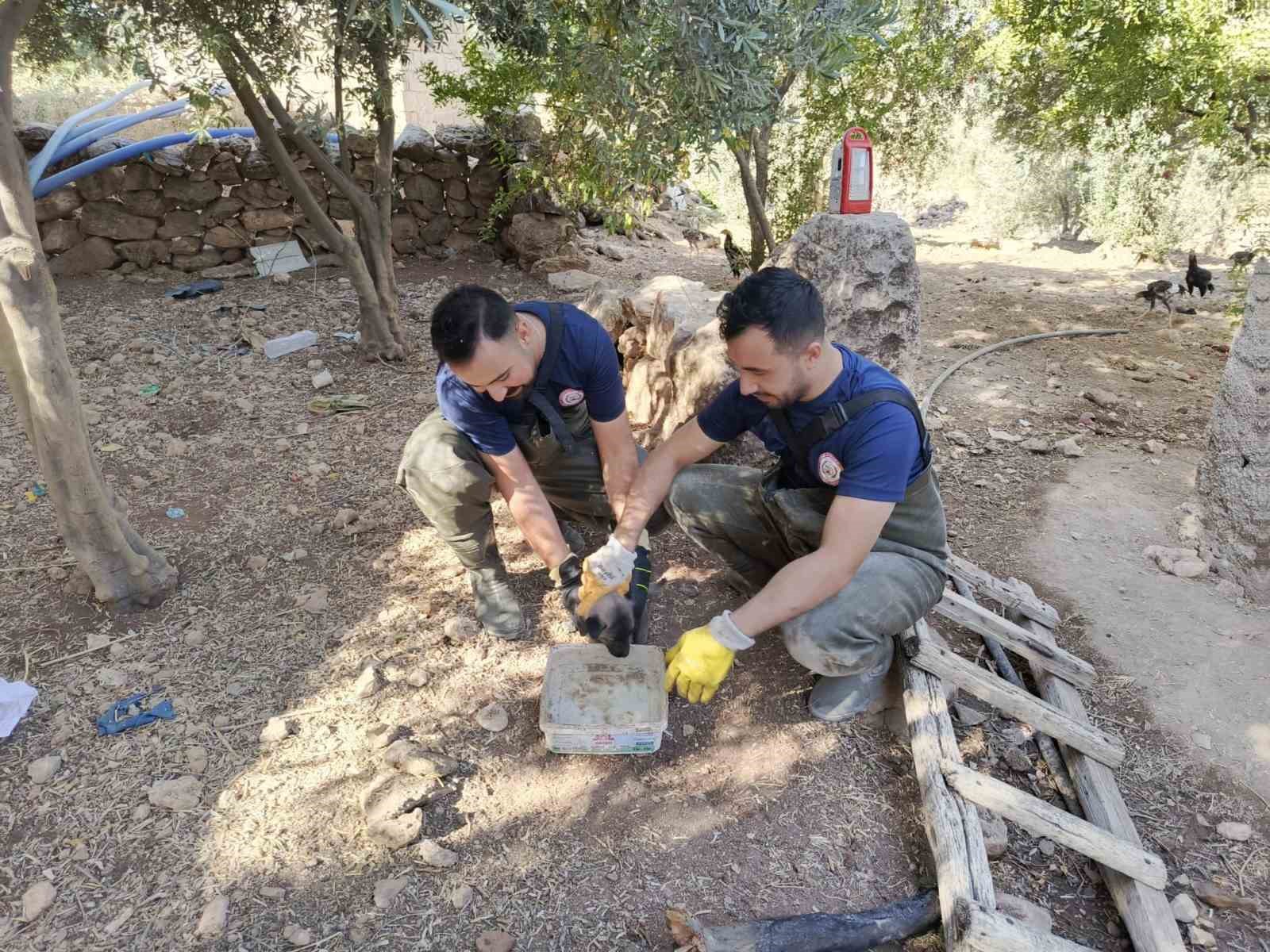 Şanlıurfa’da foseptik çukuruna düşen köpek yavrusu kurtarıldı