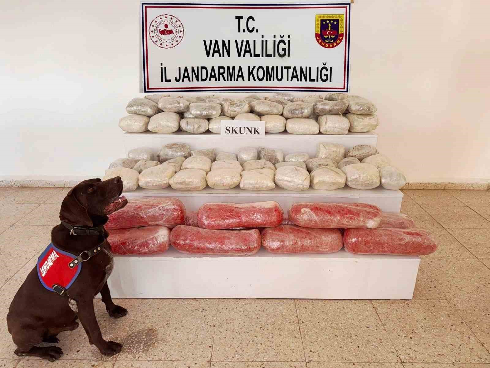 Van’da 61,9 kilogram skunk ele geçirildi