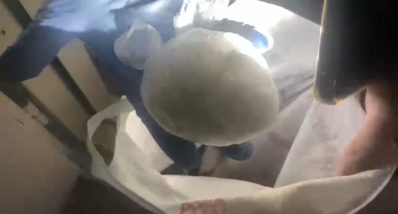 Samsun’da 183,8 gram uyuşturucu ele geçirildi