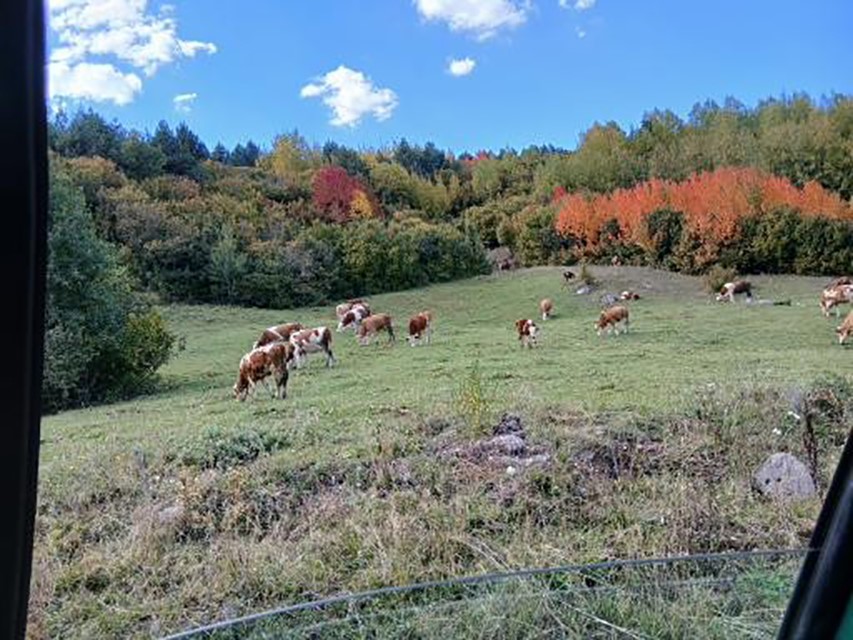 Posof’ta sonbahar güzelliği
