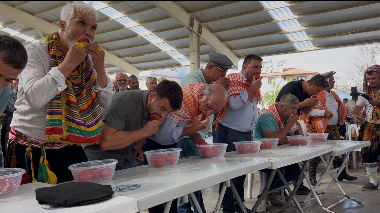 Pala bıyıklar yarıştı
