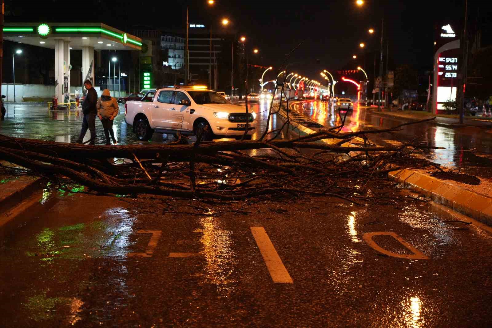 Edirne’de sağanak yağış ve rüzgar, ağacı devirdi
