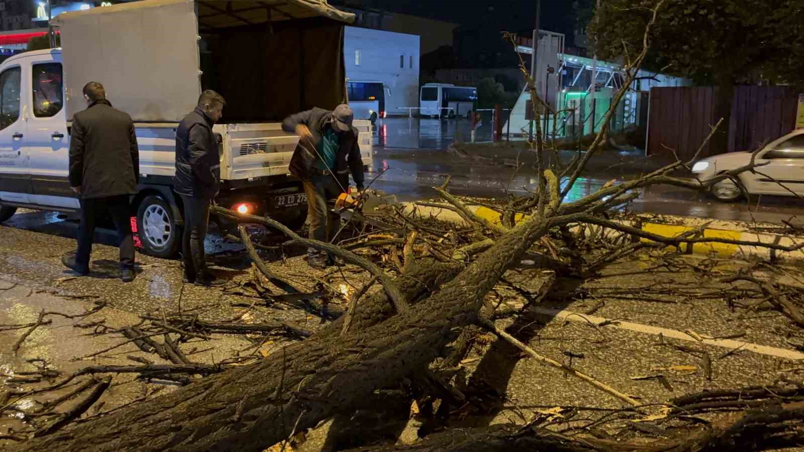 Edirne&rsquo;de sağanak yağış ve r&uuml;zgar, ağacı devirdi
