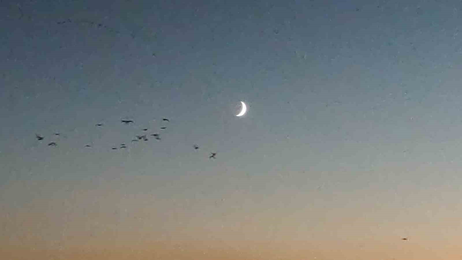 Van G&ouml;l&uuml; sahillerinde kuşların akşam g&ouml;&ccedil;&uuml;
