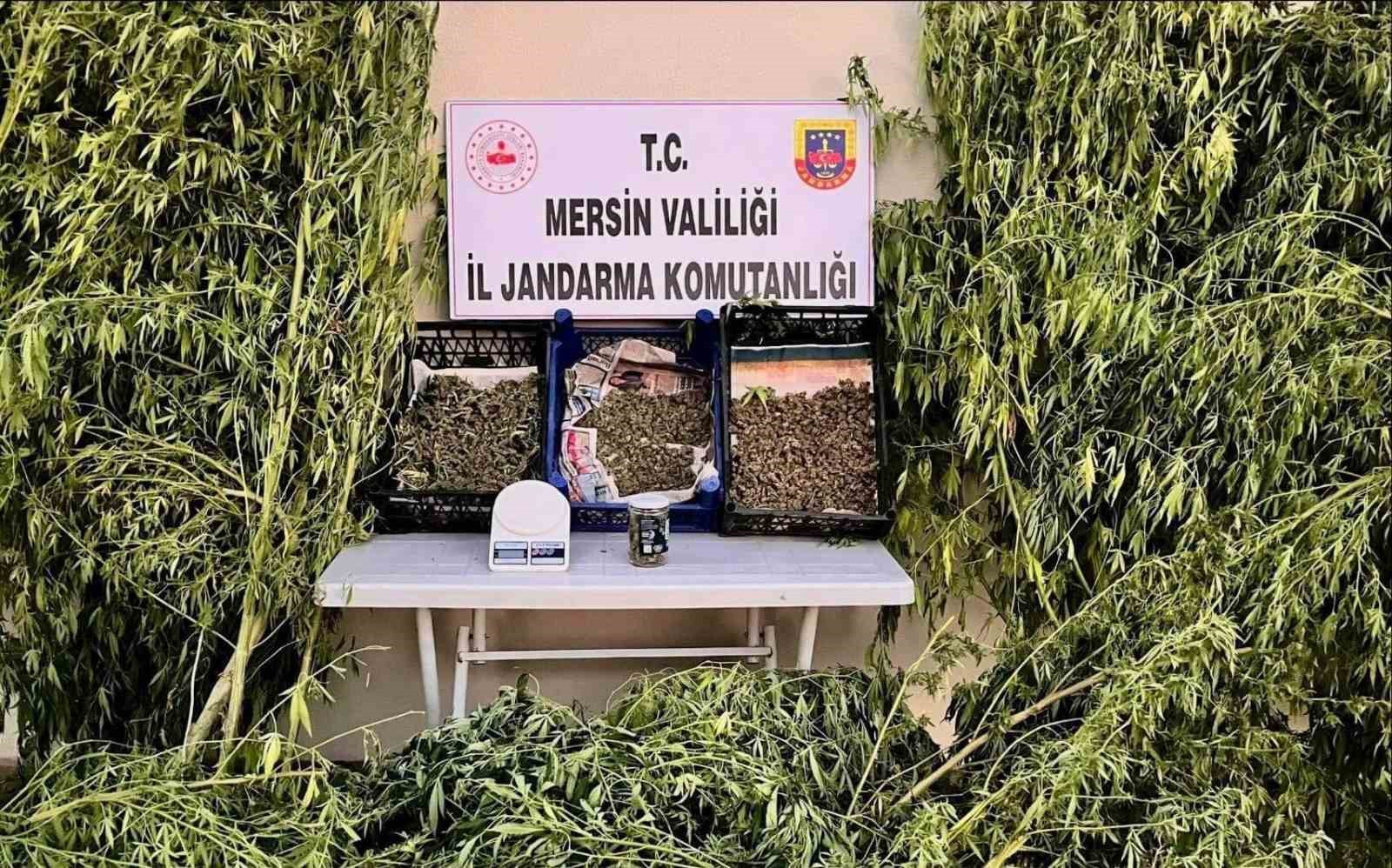 Mersin’de uyuşturucu operasyonu