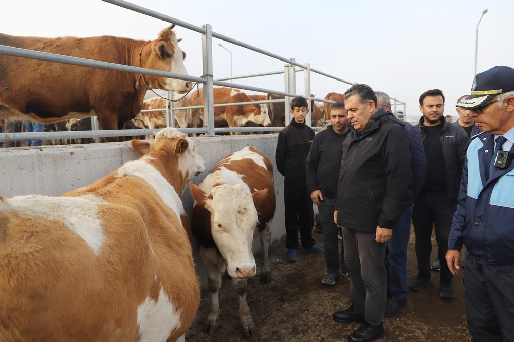 Başkan Demir hayvan pazarını ziyaret etti