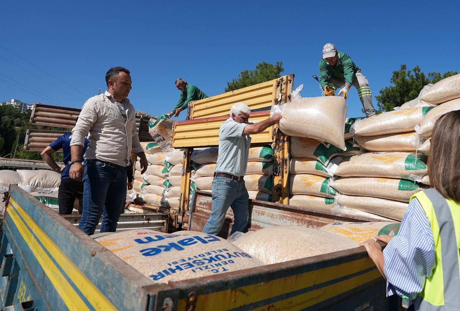 Yangın mağduru çiftçiye yem ve saman desteği sağlandı