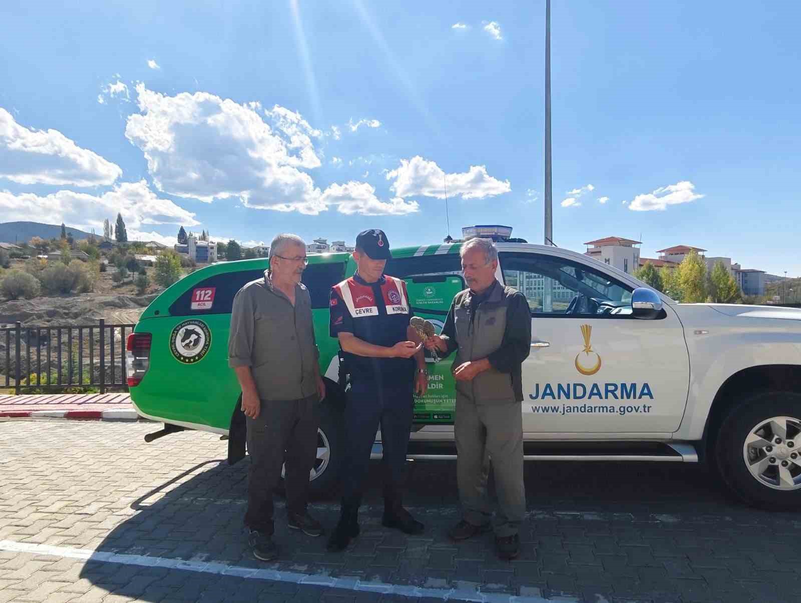 Yozgat&rsquo;ta yaralı &ccedil;akır kuşu bulundu
