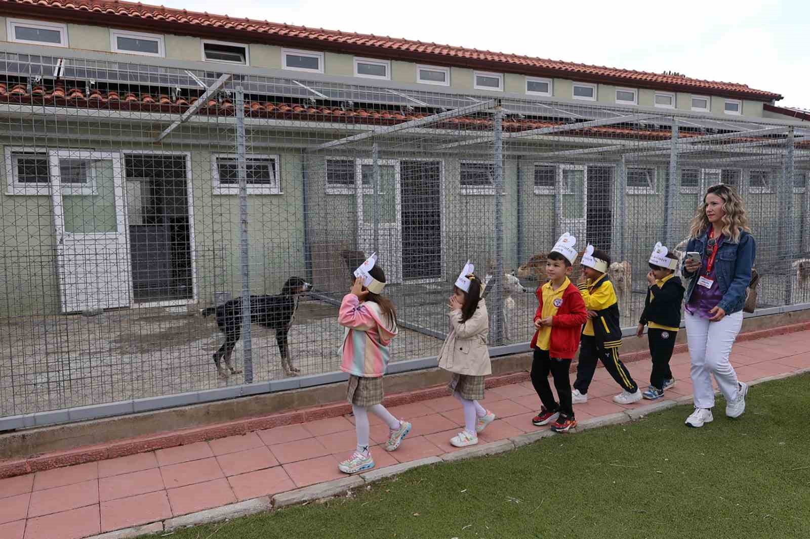 Minik &ouml;ğrencilerden Hayvan Bakımevine ziyaret
