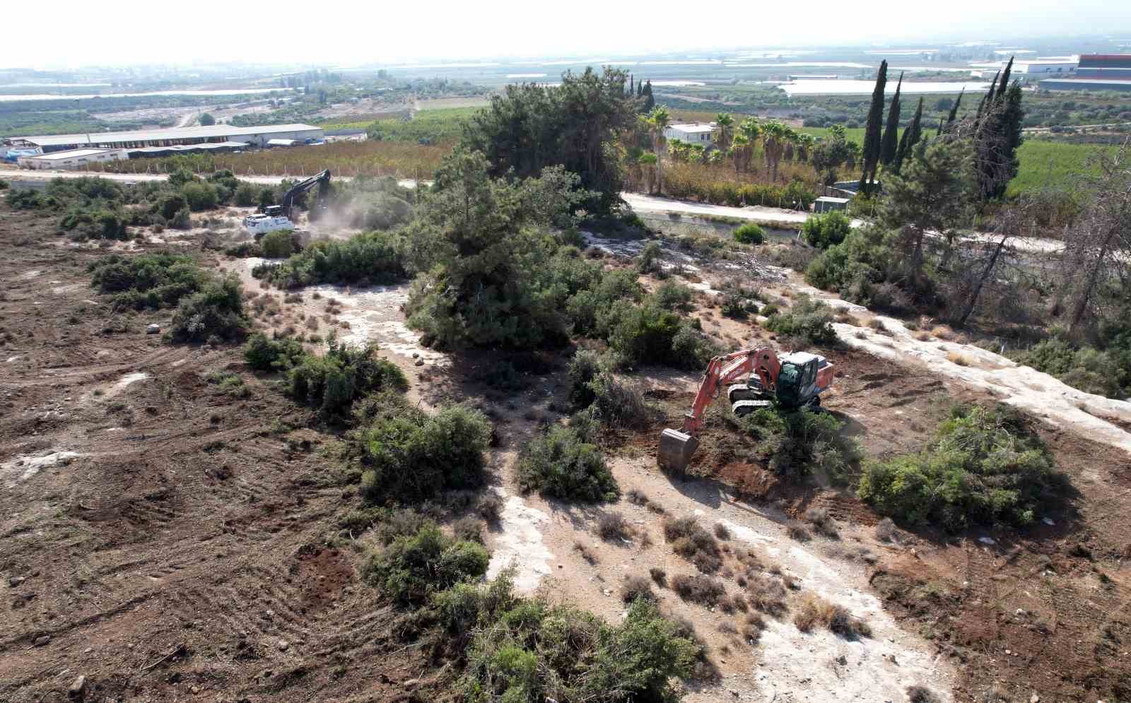 Akdeniz Belediyesinden sokak hayvanları i&ccedil;in doğal yaşam alanı
