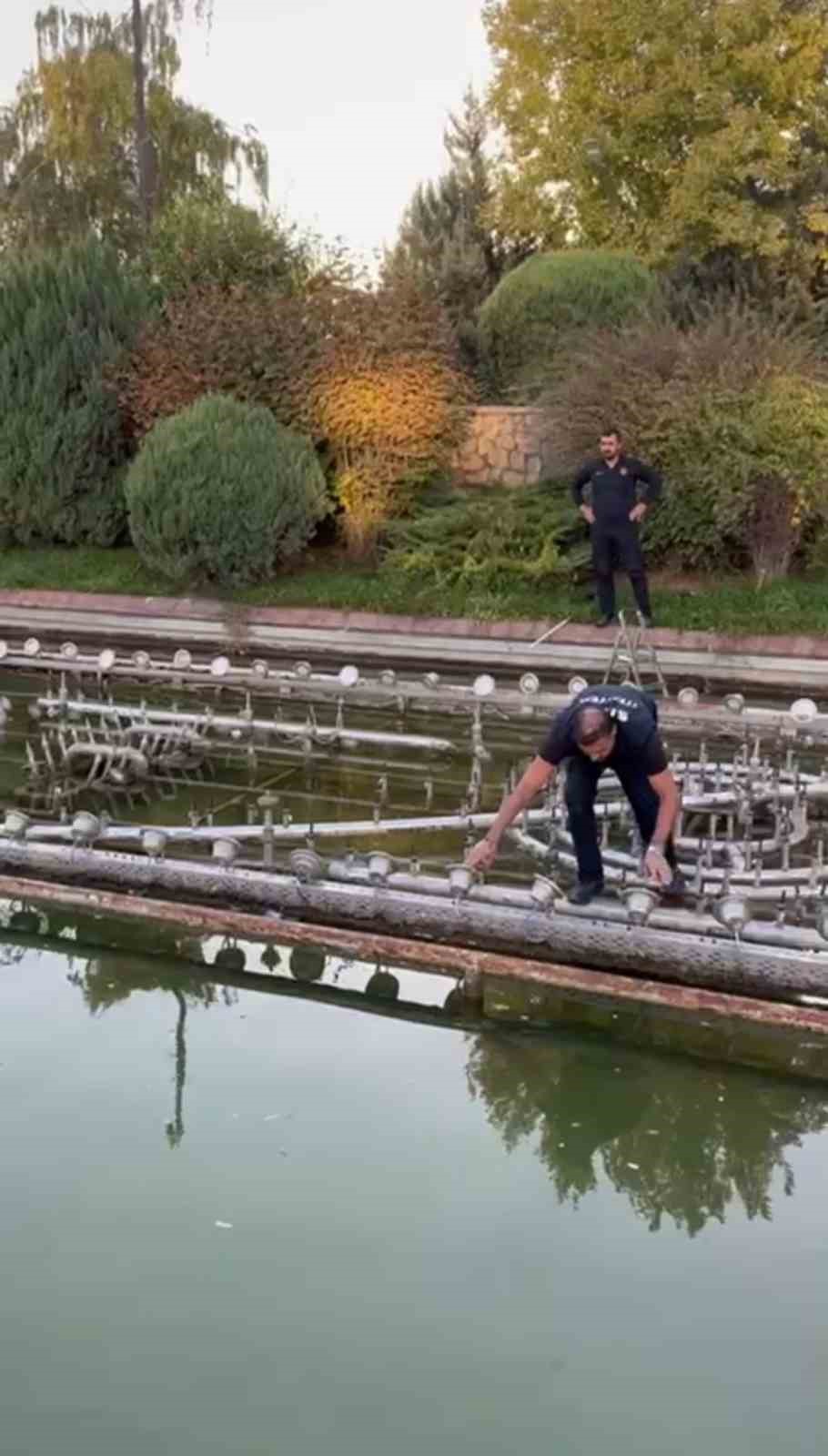 Sivas&rsquo;ta boruya sıkışan kuşu itfaiye kurtardı

