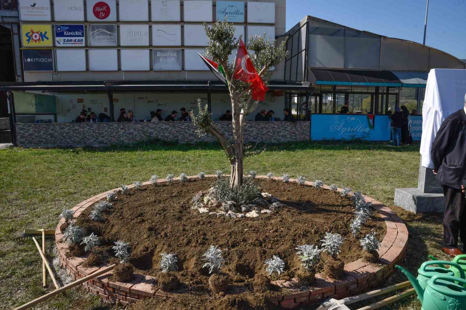 OMÜ’de Filistin için "zeytin ağacı anıtı" dikildi