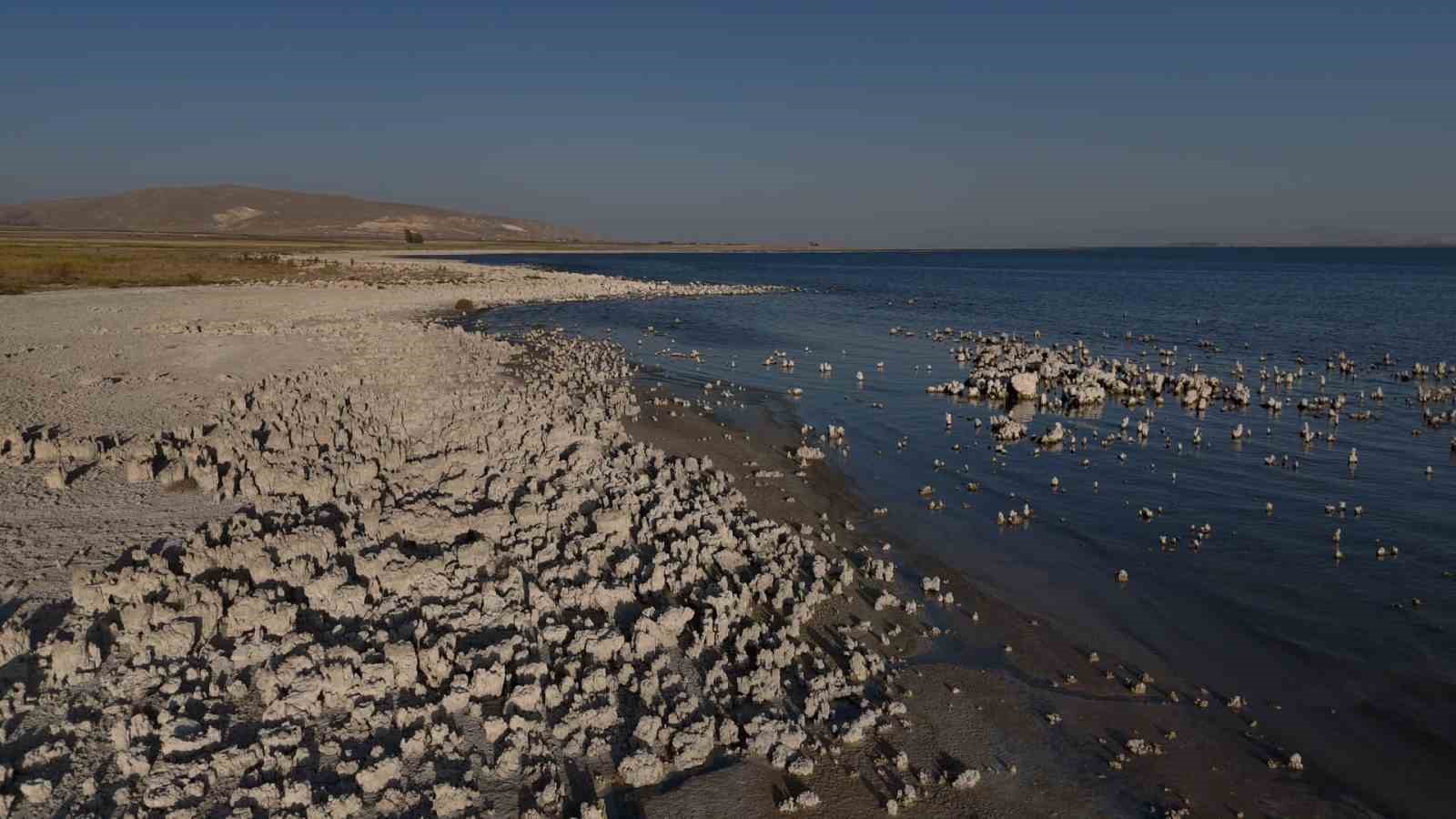 Van G&ouml;l&uuml;&rsquo;nde kuraklık alarmı: Suyun &ccedil;ekilmesi endişe verici bir tabloya d&ouml;n&uuml;şt&uuml;
