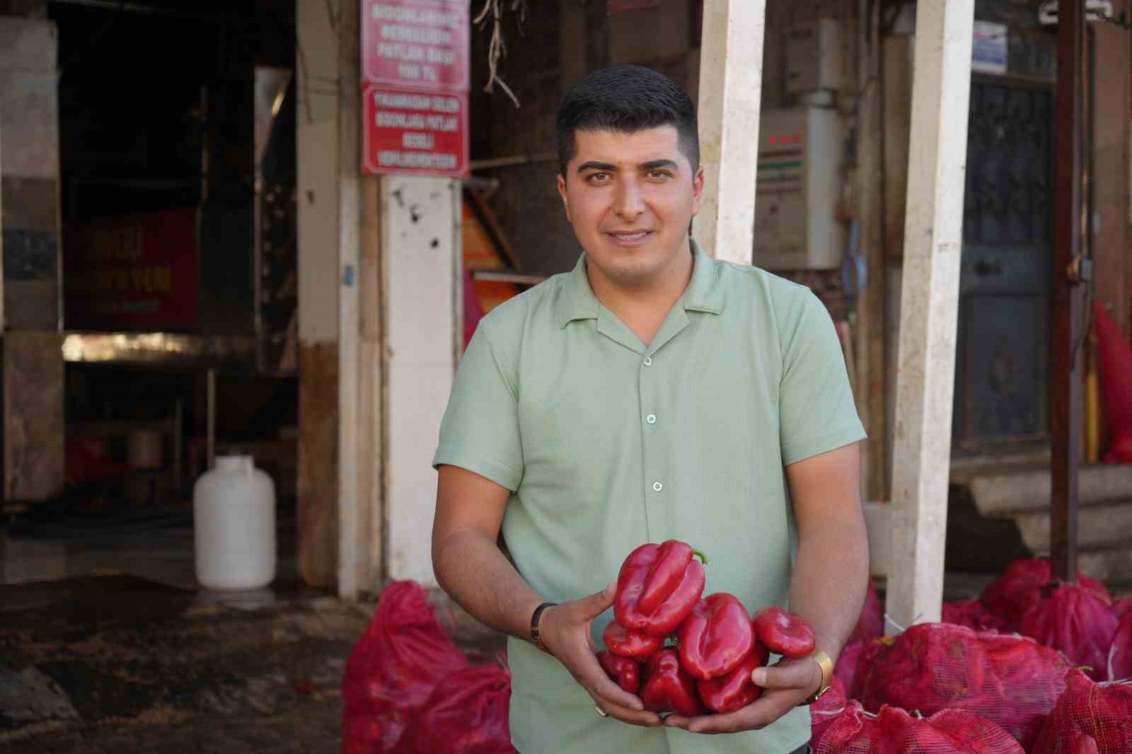 Gaziantep&rsquo;te kadınların &rsquo;acı&rsquo; mesaisi

