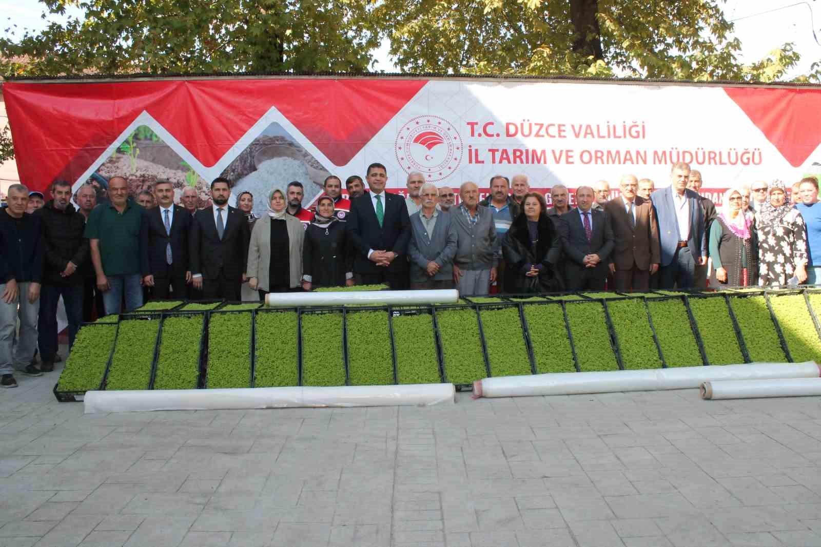 Düzce’de yüzde 75 destekli 232 bin 500 adet marul fidesi dağıtıldı