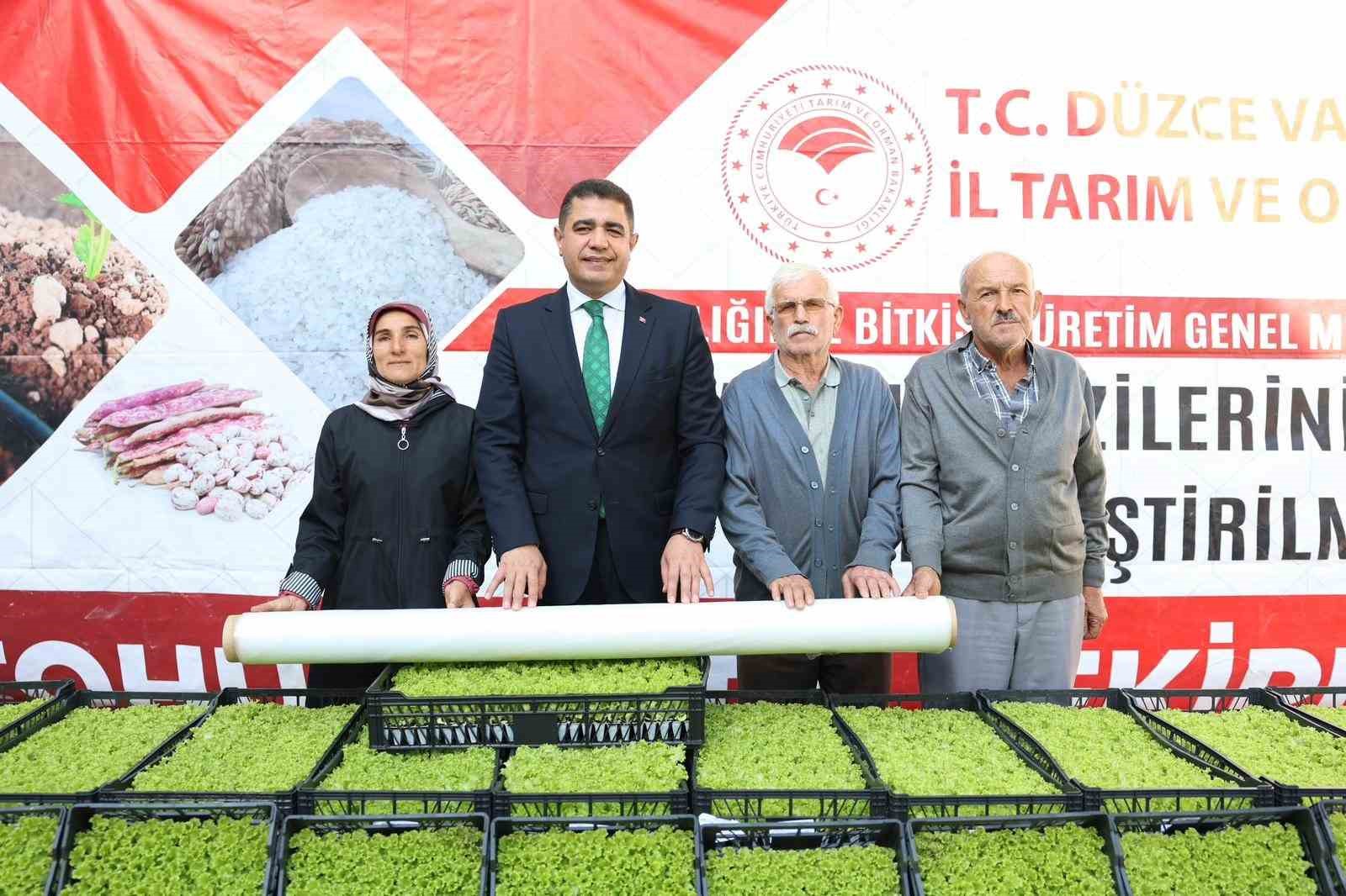 Düzce&rsquo;de yüzde 75 destekli 232 bin 500 adet marul fidesi dağıtıldı