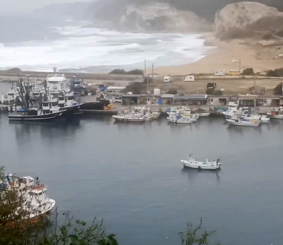 Balıkçı Demir: "Küçük balıkçı kasabalarını ayakta tutan palamut balığıdır"