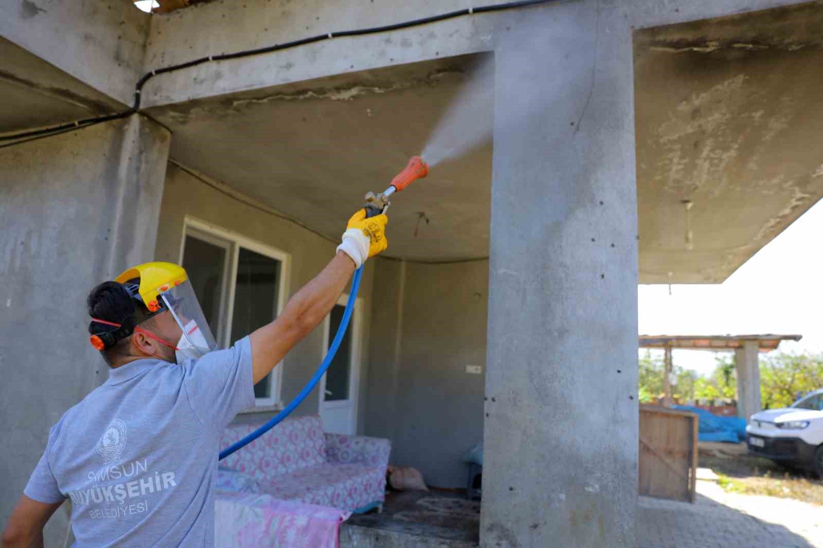 Samsun’da kahverengi kokarcaya karşı kışlak seferberliği