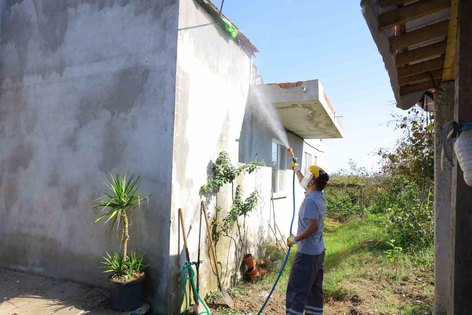 Samsun’da kahverengi kokarcaya karşı kışlak seferberliği