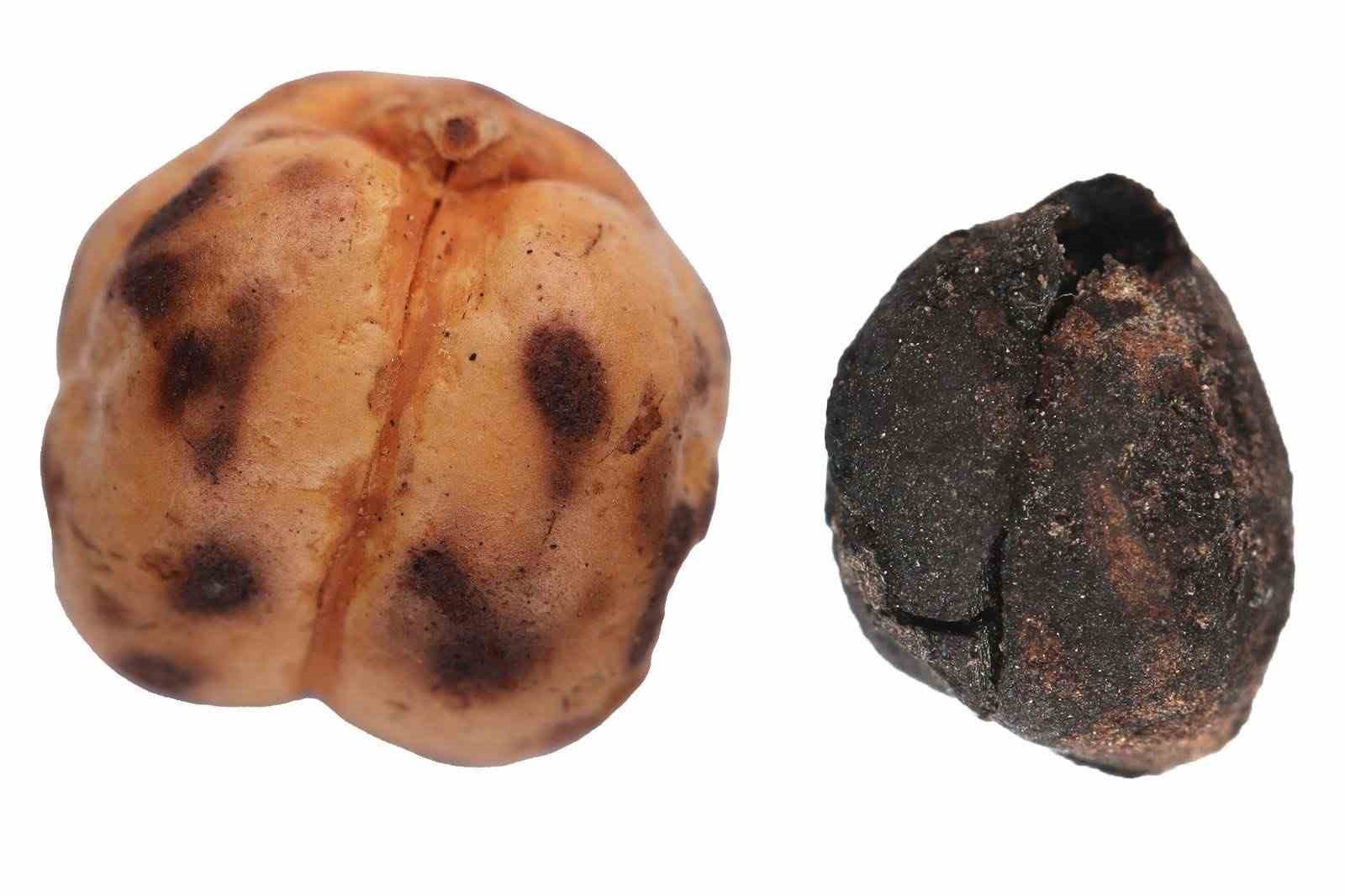 K&uuml;lt&uuml;r ve Turizm Bakanı&rsquo;ndan K&uuml;ll&uuml;oba a&ccedil;ıklaması
