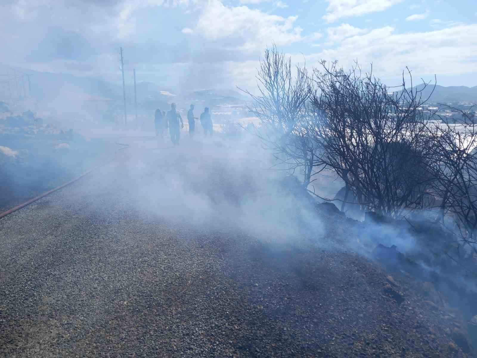 Gazipaşa&rsquo;da zirai alanda yangın b&uuml;y&uuml;meden s&ouml;nd&uuml;r&uuml;ld&uuml;
