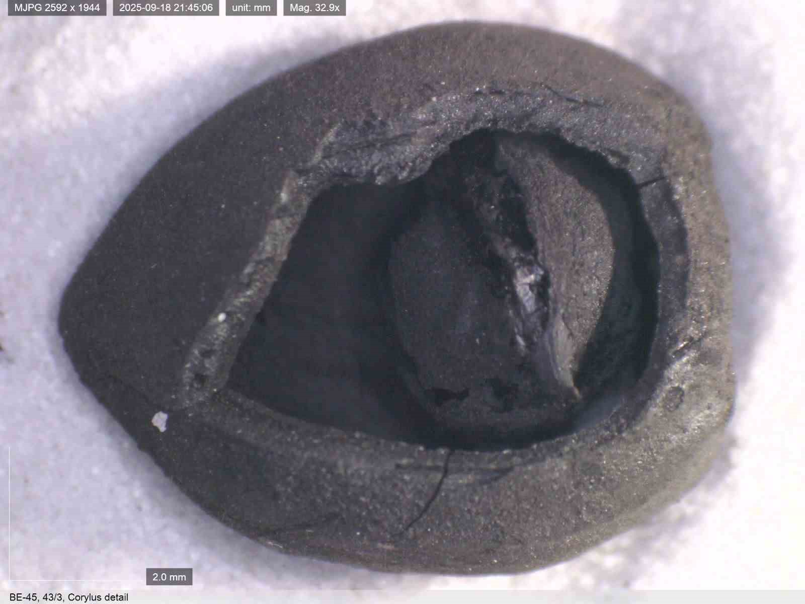 Bakan Ersoy: "Anadolu sofralarının k&ouml;kenine ışık tutuyoruz"
