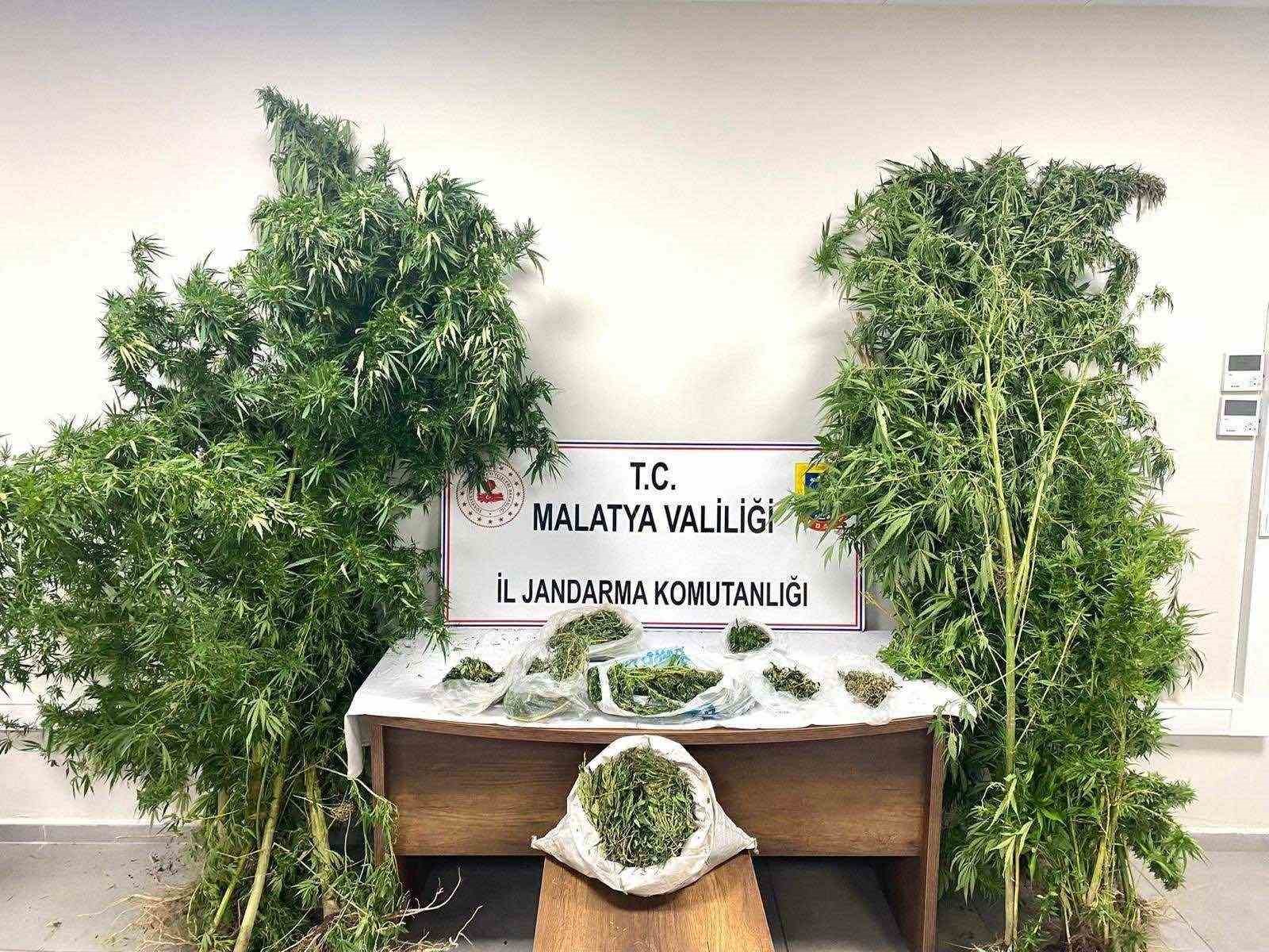 Malatya&rsquo;da 13 kilo esrar ele ge&ccedil;irildi: 5 şahıs tutuklandı
