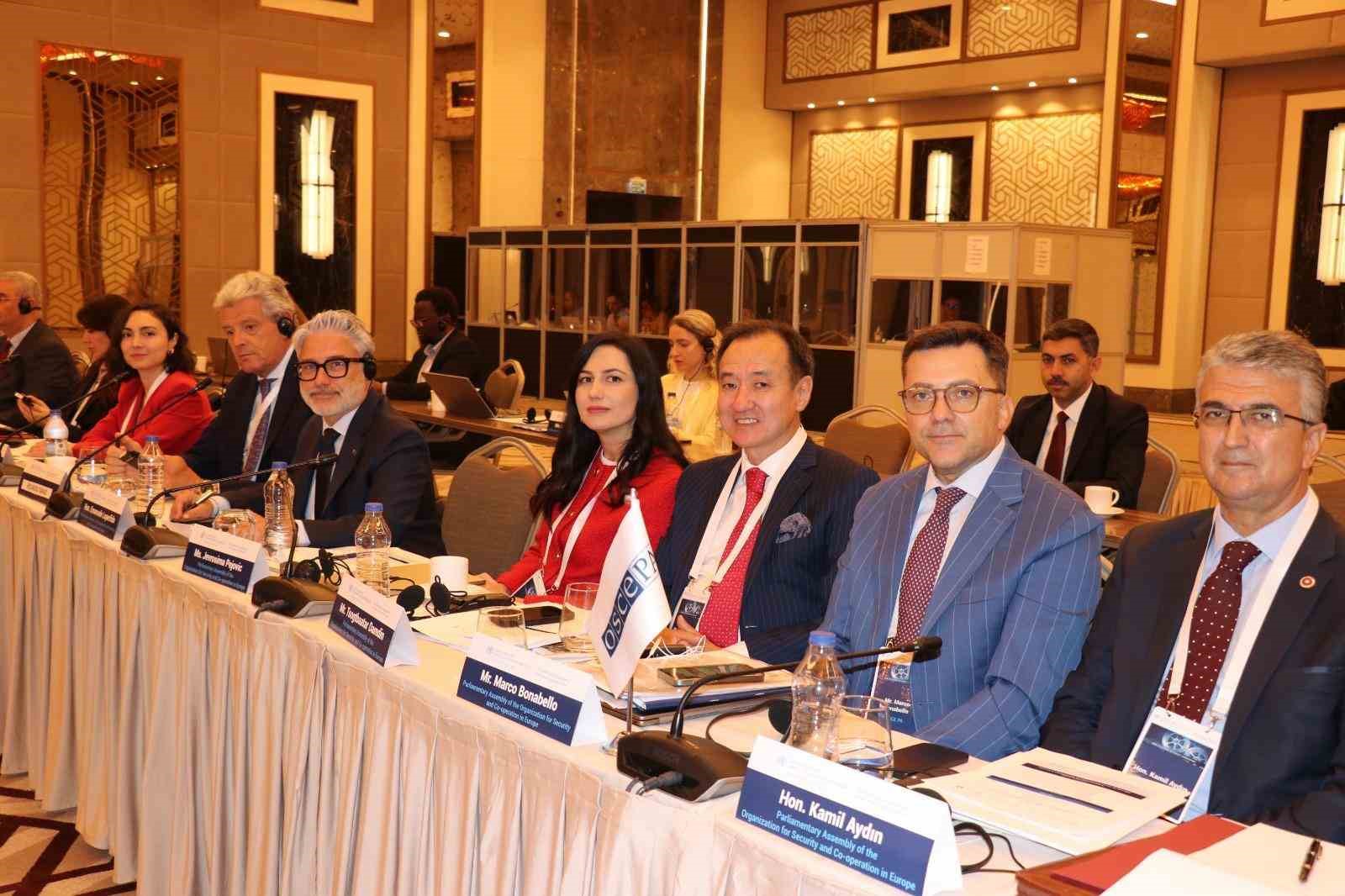 Terörizm ve organize suç arasındaki bağlantı Kamil Aydın başkanlığında masaya yatırıldı