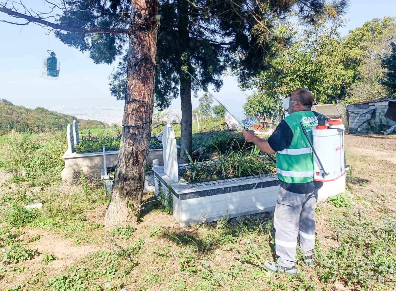 Canik&rsquo;te kahverengi kokarca ile m&uuml;cadele
