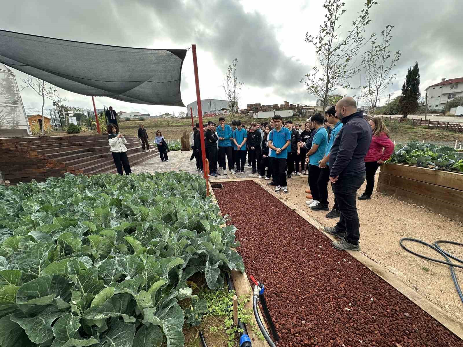 &Ouml;ğrenciler, "Bah&ccedil;em &Ccedil;ayırova"da ilk hasadı yaptı
