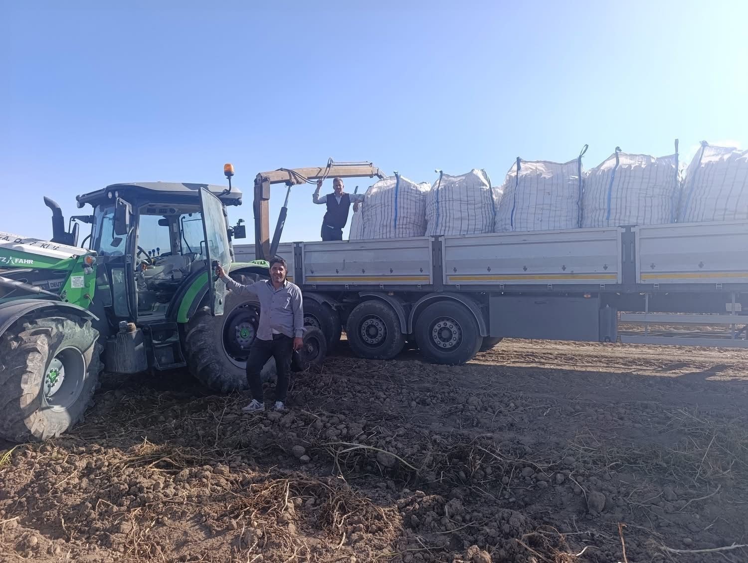 Patnos’ta patates hasadı başladı