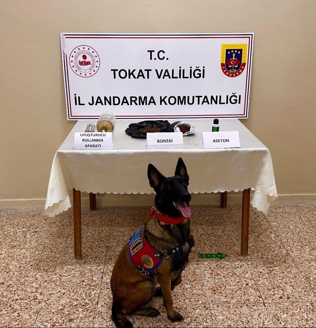Tokat’ta jandarmadan eş zamanlı uyuşturucu operasyonu: 2 tutuklama
