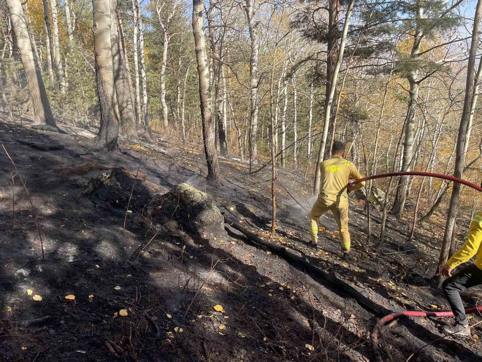 Sarıkamış&rsquo;ta orman yangını: 2 hektar alan zarar g&ouml;rd&uuml;
