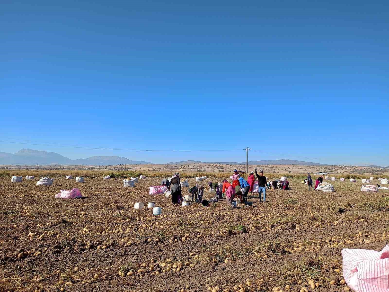 Beyşehir&rsquo;de patates &uuml;reticisinin artan &uuml;retimle y&uuml;z&uuml; g&uuml;ld&uuml;
