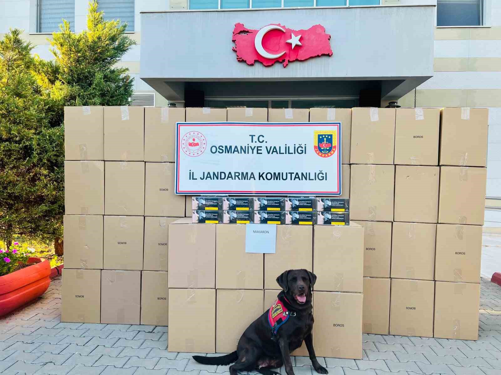 Osmaniye’de kaçak makaron operasyonunda 1 tutuklama