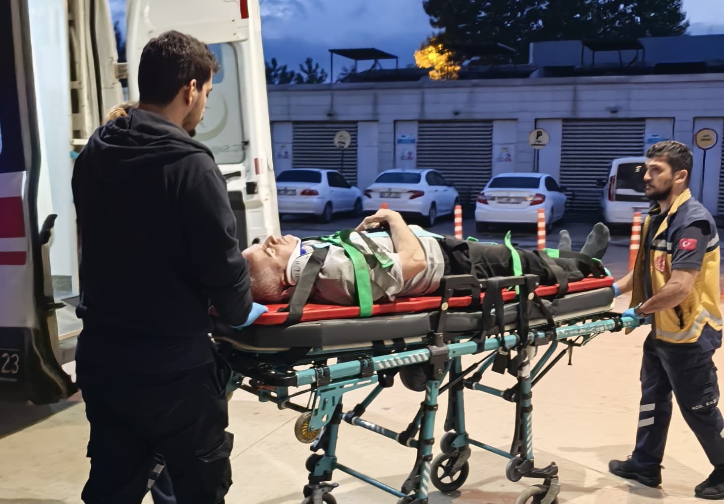 Ceviz ağacından düşen adam ağır yaralandı