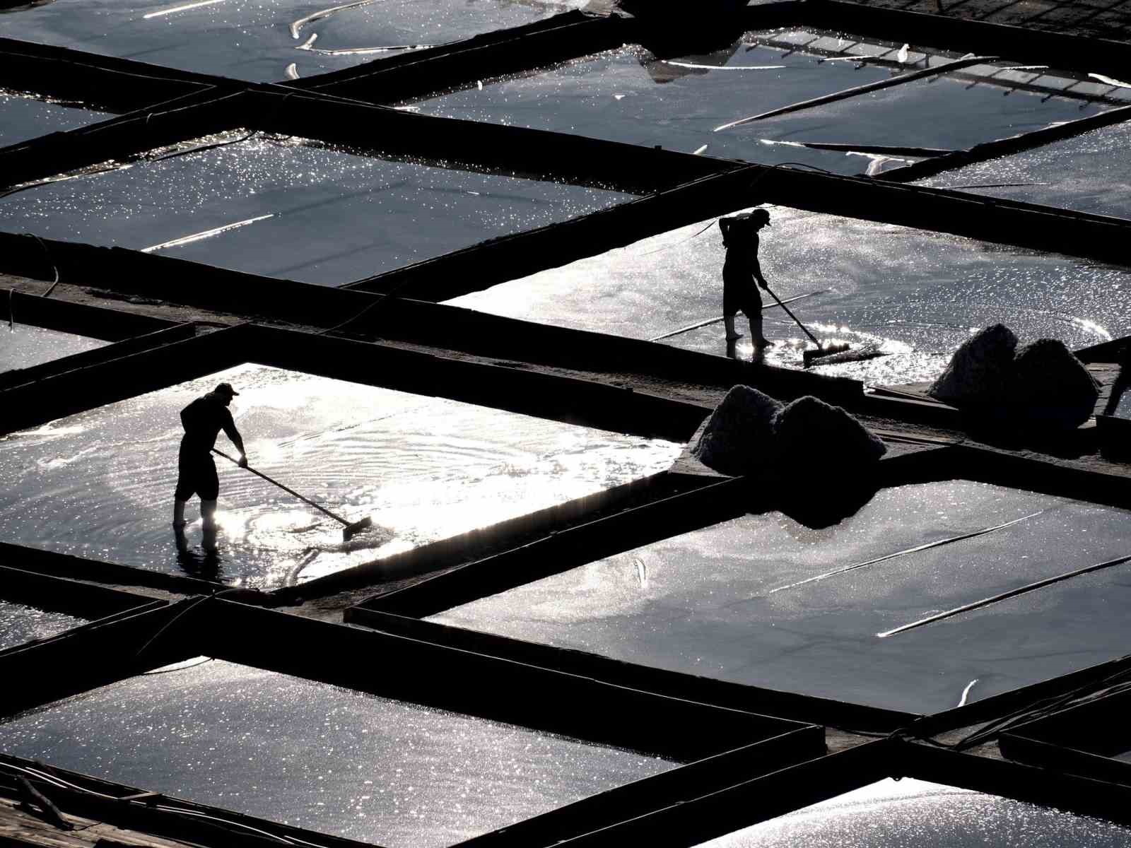 Erzincan’ın dağlarından sofralara