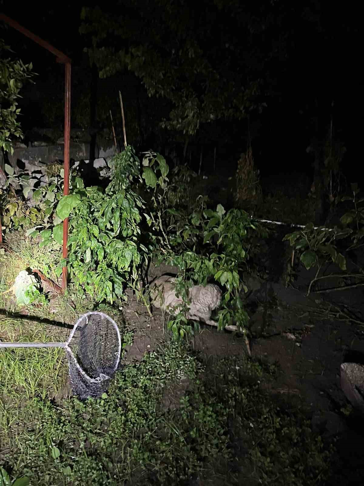 Sulama kanalına d&uuml;şen anne k&ouml;pek ve yavrularını itfaiye ekipleri kurtardı
