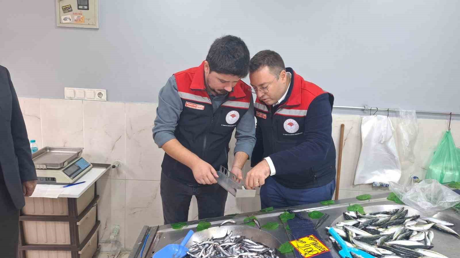 Hayrabolu’da balık satış yerleri denetlendi