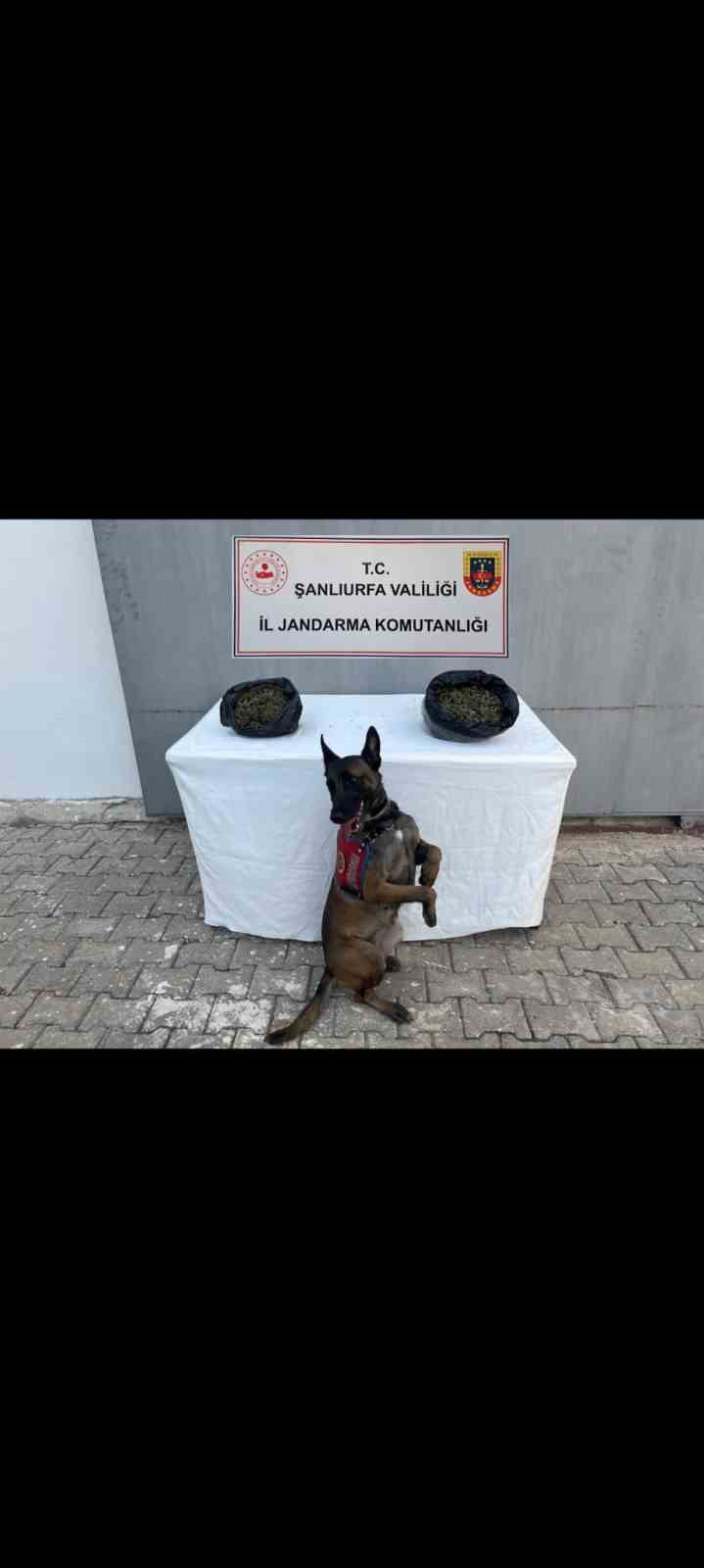 Şanlıurfa’da uyuşturucu ve silah ele geçirildi